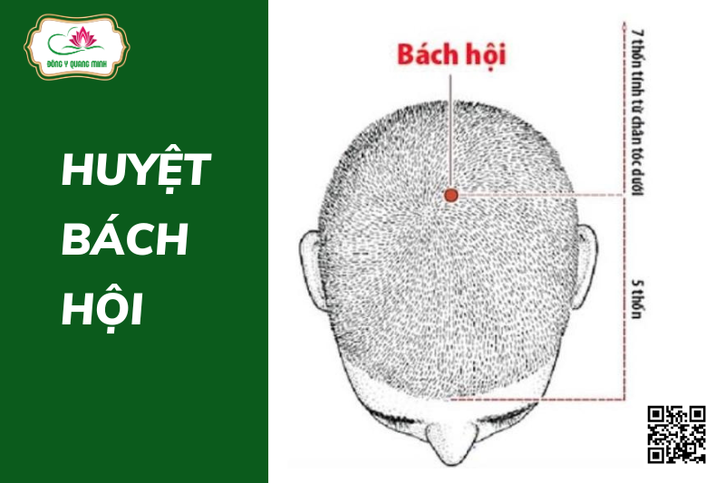 Huyệt bách hội