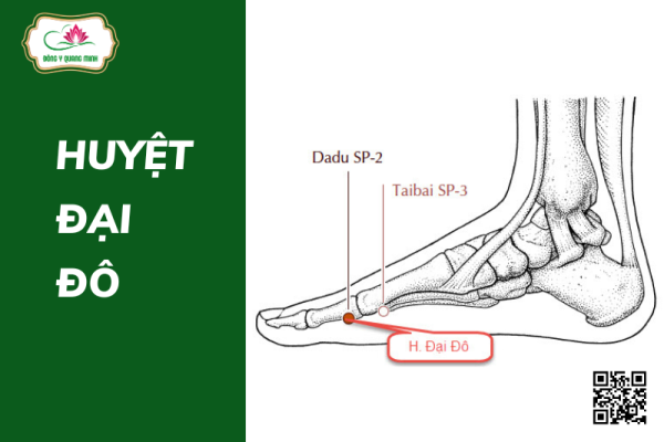 huyệt đại đô