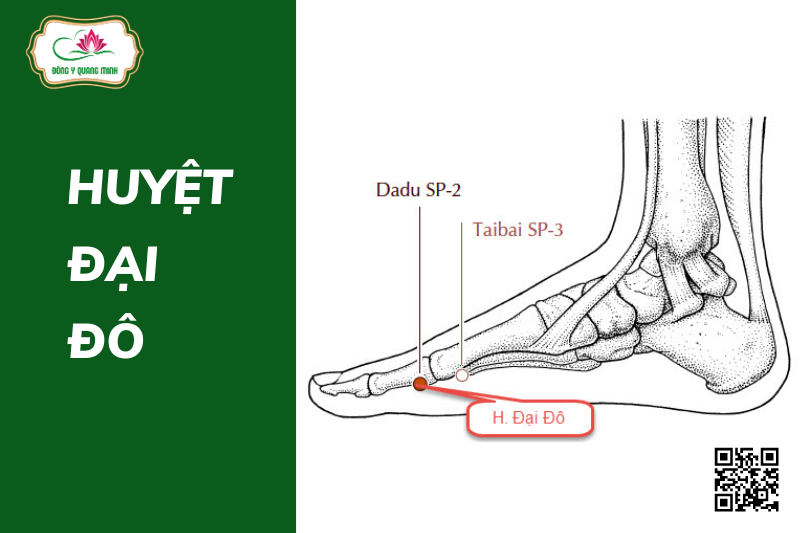 huyệt đại đô