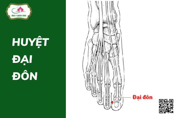 Vị Trí, Tác Dụng Và Cách Khai Thông Huyệt Đại Đôn