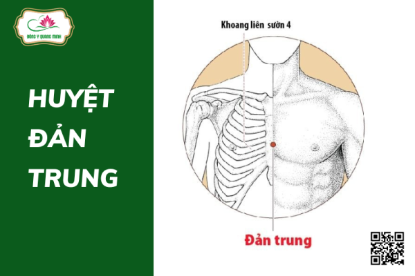 huyệt Đản Trung