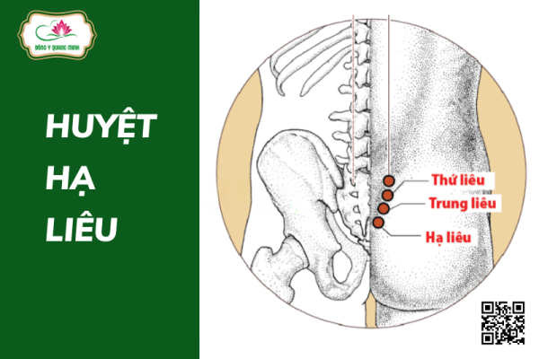 Huyệt Hạ Liêu: Vị Trí, Tác Dụng, Cách Khai Thông Huyệt