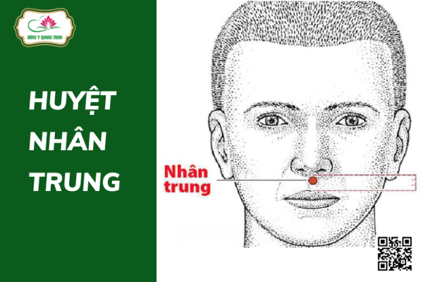 Huyệt nhân trung