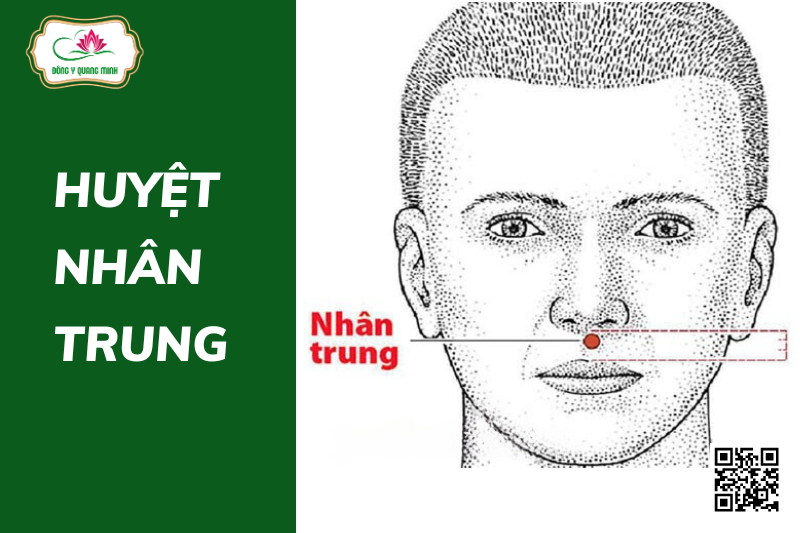 Huyệt Nhân Trung: Vị Trí, Công Năng Và Lưu Ý Khi Tác Động Trị Bệnh ...