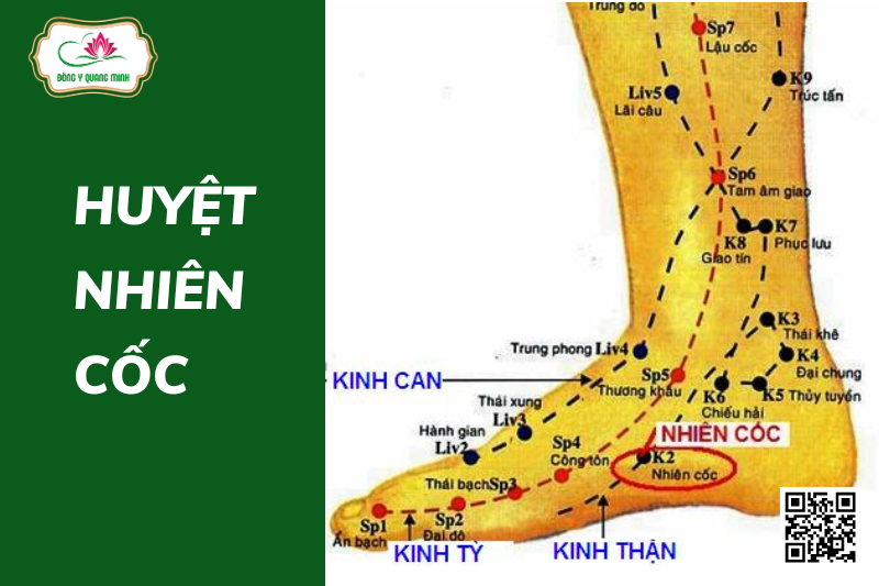 Huyệt Nhiên Cốc: Vị Trí Chính Xác Và Cách Tác Động Chữa Bệnh