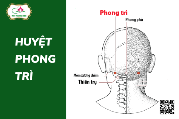 huyệt phong trì