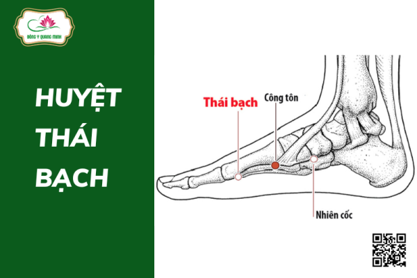huyệt thái bạch