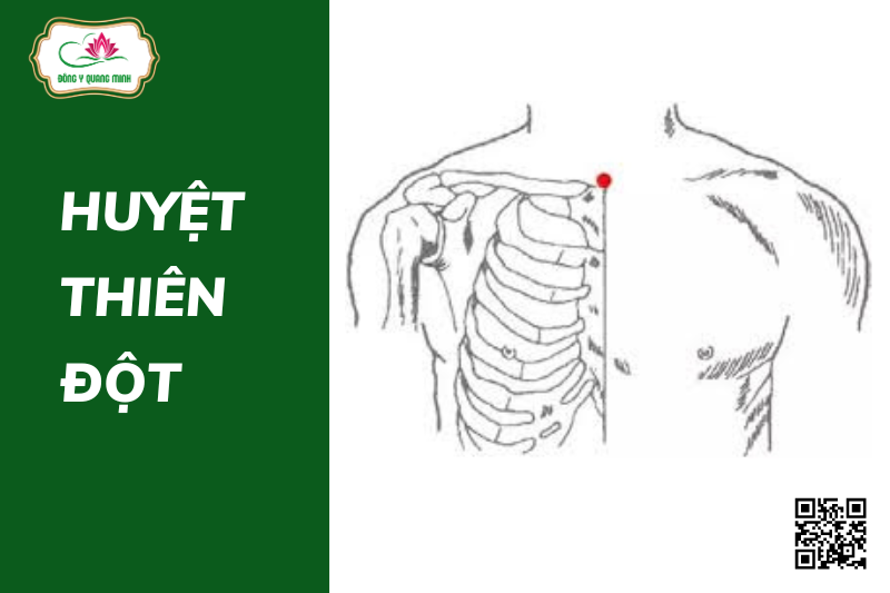 huyệt thiên đột