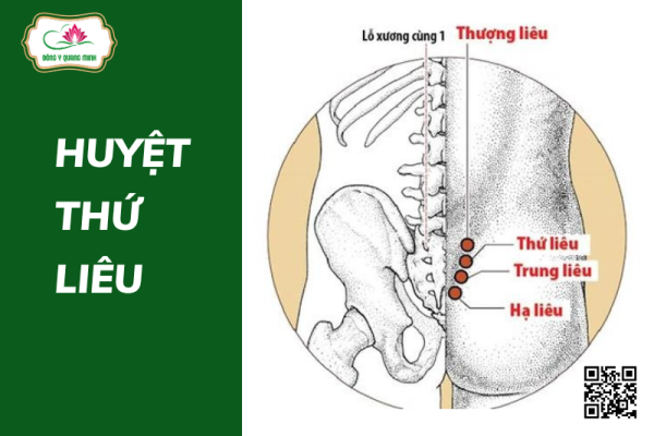 Huyệt thứ Liêu