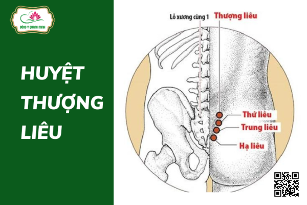 Huyệt Thượng Liêu