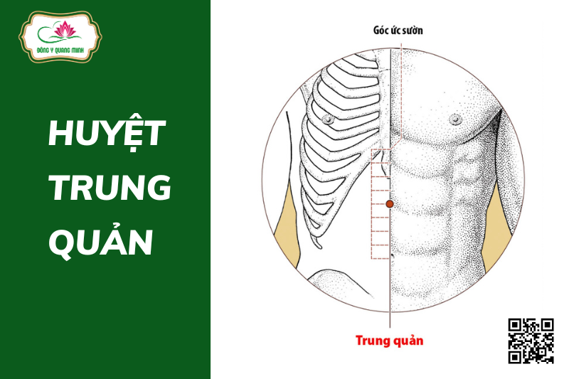 Vị Trí, Tác Dụng Huyệt Trung Quản Trong Chữa Bệnh