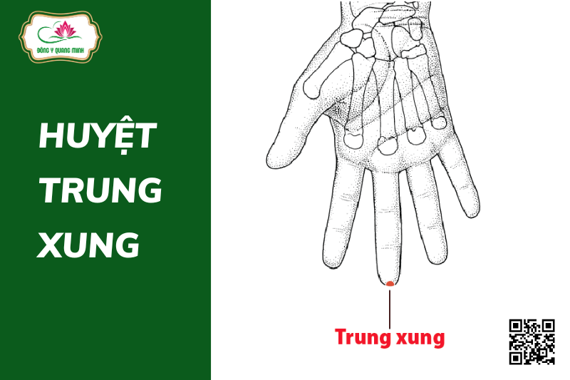 Huyệt Trung Xung Nằm Ở Đâu? Có Tác Dụng Gì?