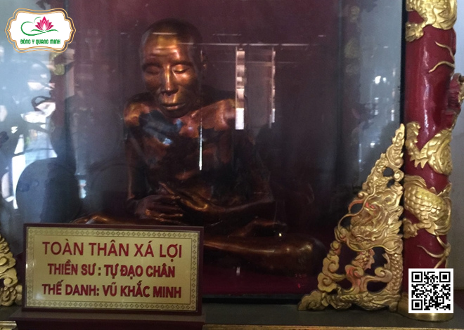 Thêm Lý Giải Về Nhục Thân Của Thiền Sư Chùa Đậu