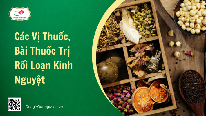 Các Vị Thuốc, Bài Thuốc Trị Rối Loạn Kinh Nguyệt