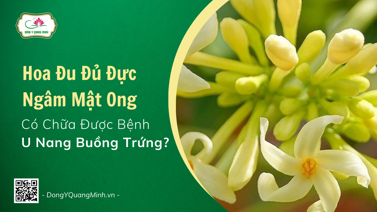 Hoa Đu Đủ Đực Ngâm Mật Ong Có Chữa Được Bệnh U Nang Buồng Trứng?