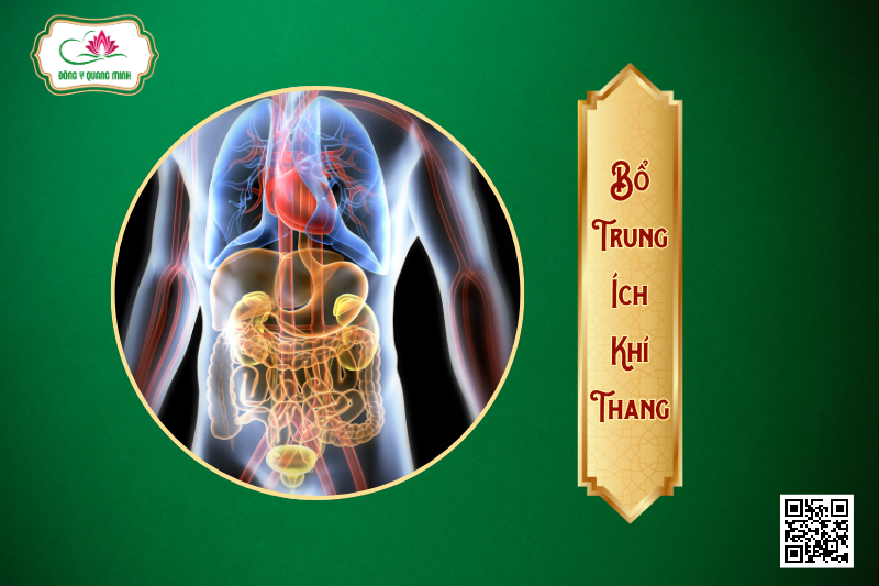 Bài Thuốc Bổ Trung Ích Khí Thang