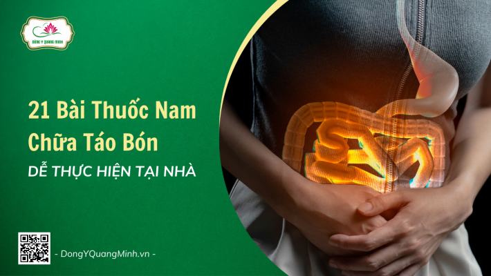21 Bài Thuốc Nam Chữa Táo Bón Dễ Thực Hiện Tại Nhà