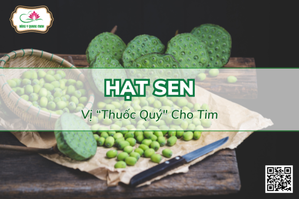 Hạt Sen – Vị “Thuốc Quý" Cho Tim