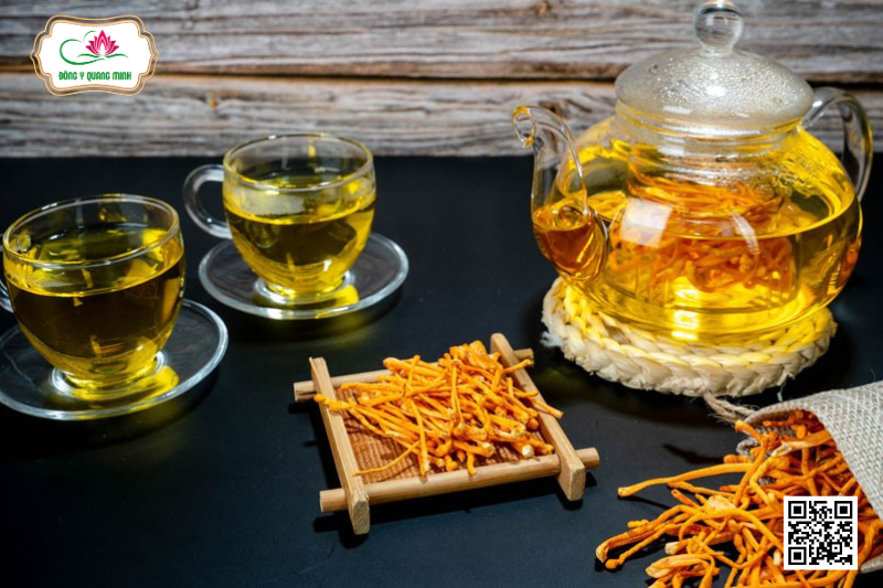 Tìm Hiểu Về Những Hoạt Chất Trong Đông Trùng Hạ Thảo