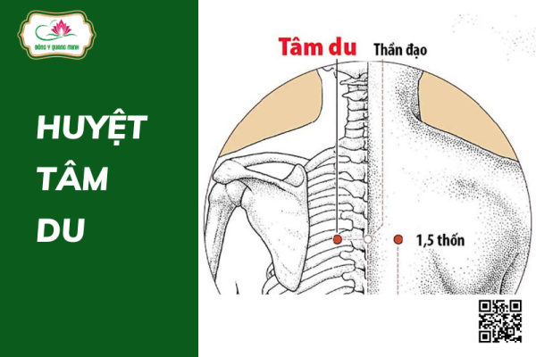 huyệt Tâm Du