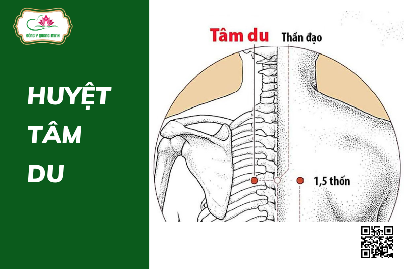 huyệt Tâm Du