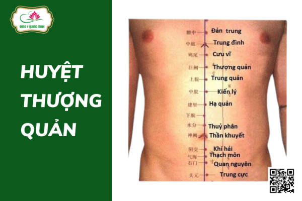 Vị Trí Và Tác Dụng Của Huyệt Thượng Quản