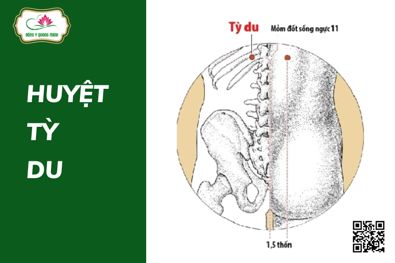 huyệt Tỳ Du