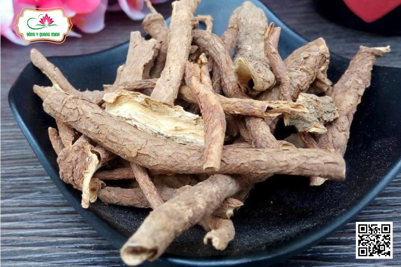 Ngũ gia bì chân chim