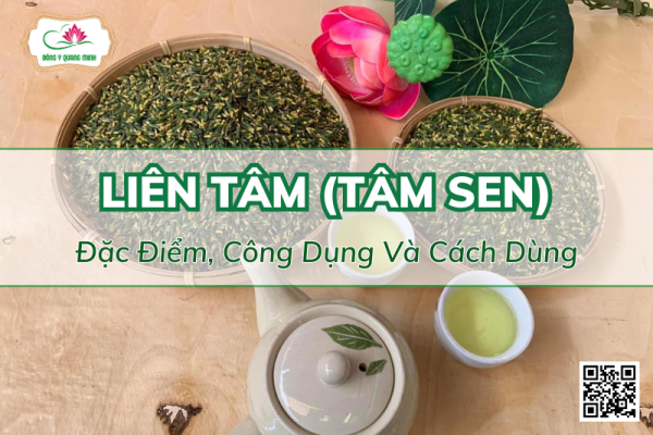 Liên Tâm (Tâm Sen): Đặc Điểm, Công Dụng Và Cách Dùng