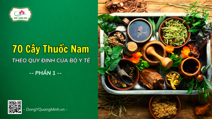 70 Cây Thuốc Nam Theo Quy Định Của Bộ Y Tế (11/2014) (P1)