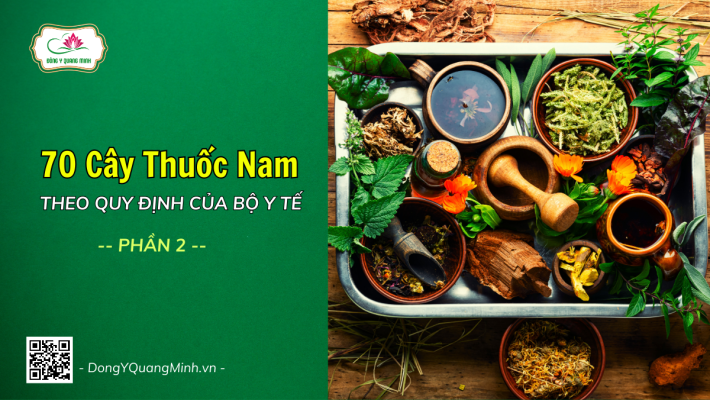 70 Cây Thuốc Nam Theo Quy Định Của Bộ Y Tế (11/2014) (P2)