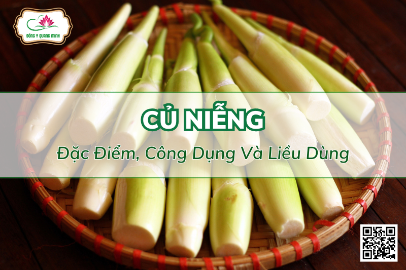 Củ Niễng - Đặc Điểm, Công Dụng Và Liều Dùng