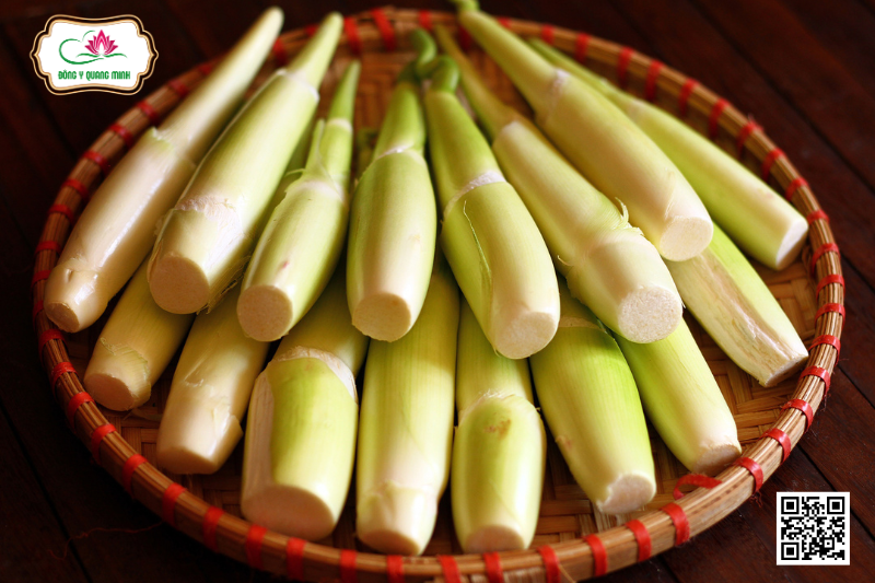 Củ Niễng - Đặc Điểm, Công Dụng Và Liều Dùng