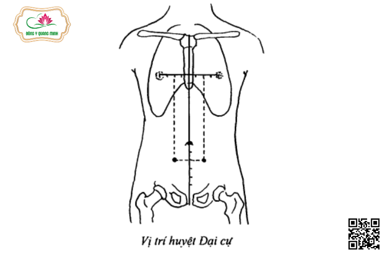 Vị trí của huyệt Đại Cự
