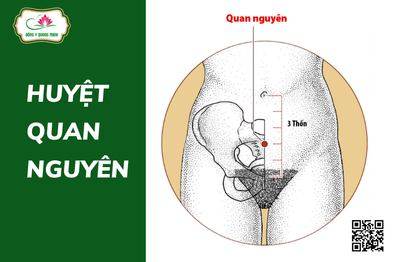 Huyệt Quan Nguyên