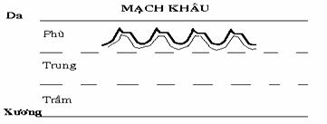 Mạch Khâu (Khổng)