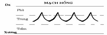 Mạch Hồng