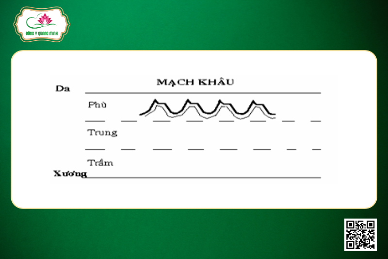 Mạch Khâu (Khổng)