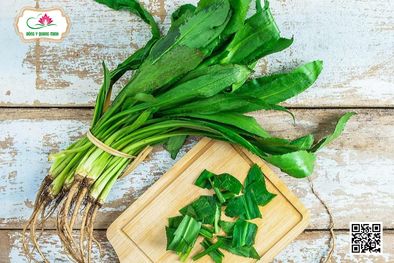 Mùi Tàu - Đặc Điểm, Tác Dụng, Liều Dùng