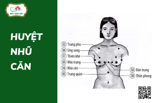Vị Trí, Tác Dụng Của Huyệt Nhũ Căn Và Cách Tác Động Huyệt Vị