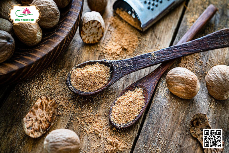 Nhục Đậu Khấu - Tính Vị, Công Năng, Bài Thuốc Kinh Nghiệm