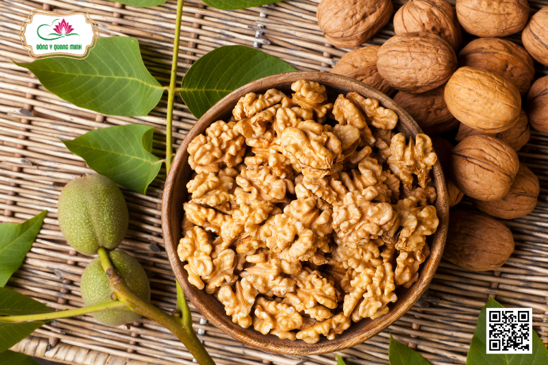 Óc Chó - Đặc Điểm, Công Dụng, Bài Thuốc Kinh Nghiệm