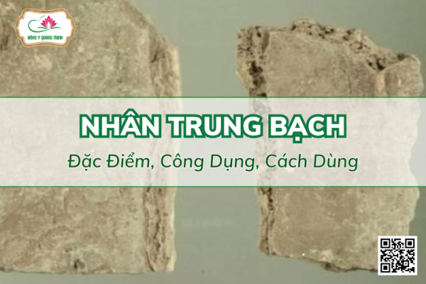 Nhân trung bạch