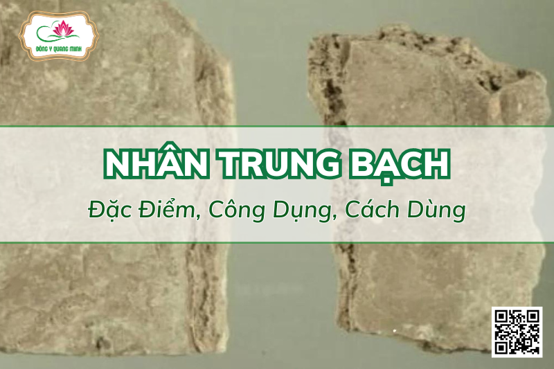 Nhân trung bạch