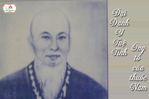 Cuộc Đời, Thân Thế & Sự Nghiệp Của Đại Danh Y Thiền Sư Tuệ Tĩnh